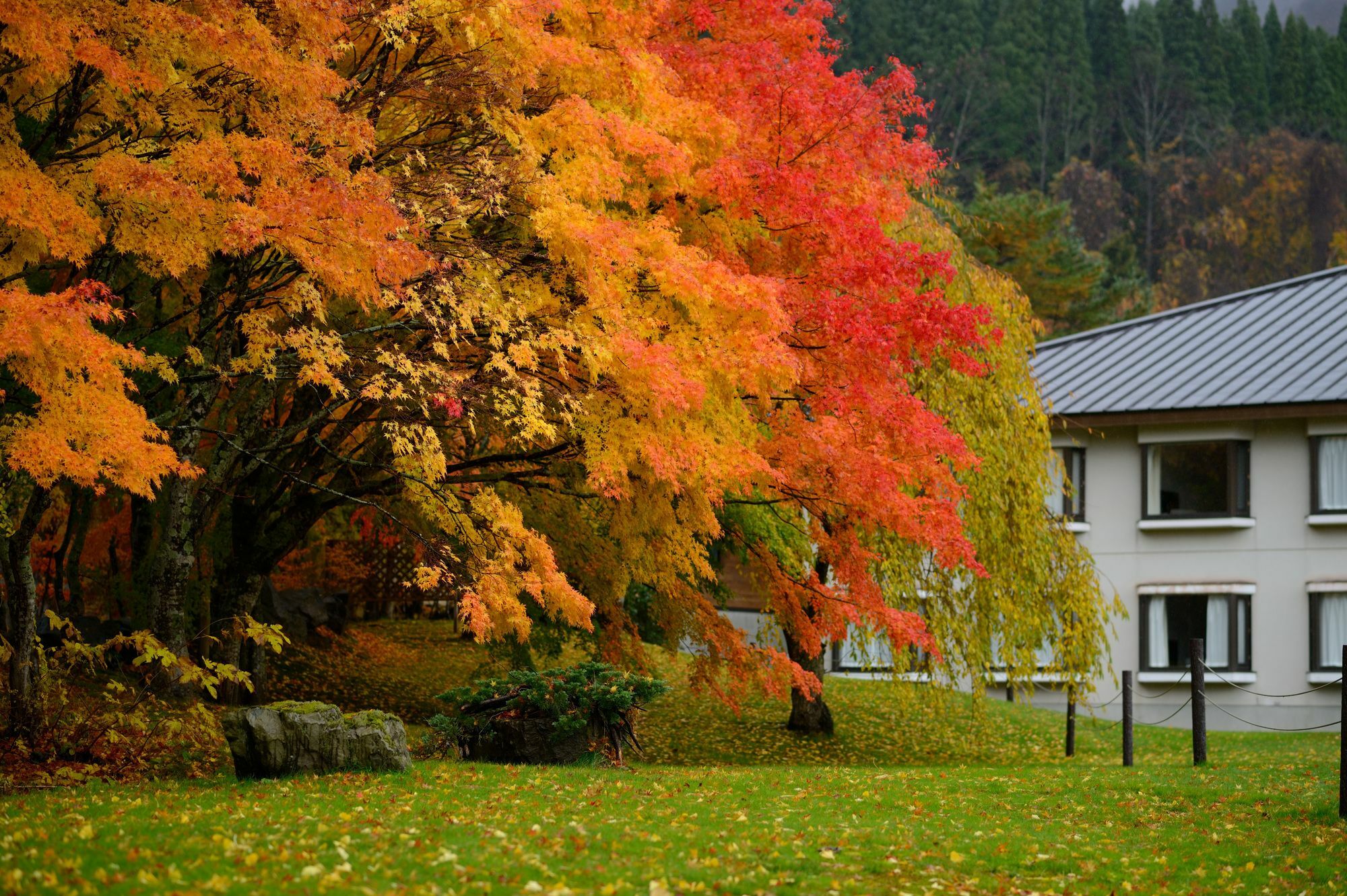 Towada Prince Hotel Kosaka Exterior photo